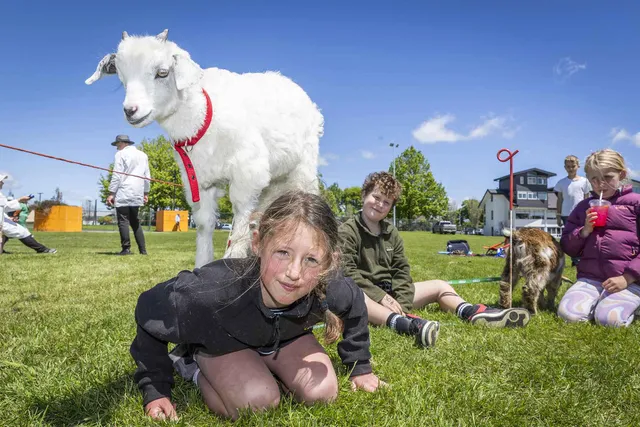 Children with goats on the grass at the Wairarapa A&P Show in Clareville